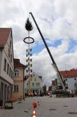 Der Maibaum wurde heute schon aufgestellt, weil der Prachtbaum aufgrund der Baustelle am Rathaus sonst nicht mehr in die Innenstadt gebracht werden kann.