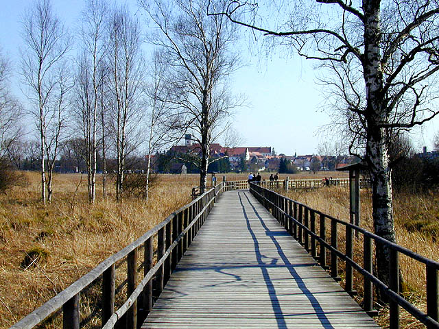 Wegbrücke in Bad Buchau, Federseee